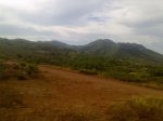 29072010164.jpg