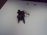 DSC00155.JPG