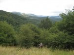 IMG_6997.jpg