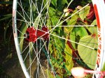 DSC04999_800x600.jpg