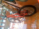 DSC00151.jpg