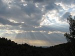 IMG_3525.jpg