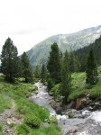 img40425163639.jpg