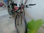 30072010608.jpg