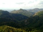 30072010060.jpg