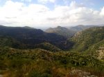 30072010055.jpg