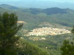 30072010058.jpg