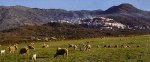 Eljas en la sierra de gata.jpg