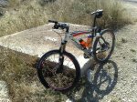 10072010921.jpg