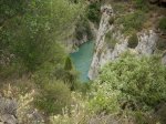 IMG_0555.jpg