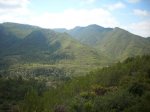 IMG_0538.jpg