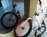 Foto-0011.jpg