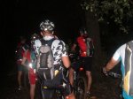 nocturna 015.jpg
