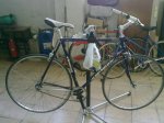 31072010618.jpg