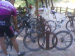 DSC00390.jpg