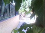 DSC00396.jpg