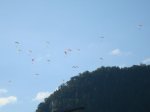DSC06687.jpg
