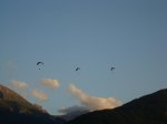 DSC06704.jpg