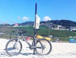 DSC00786.jpg
