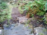DSC02501.jpg