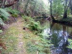 DSC02424.jpg