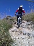 31072010034.jpg