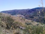 31072010037.jpg
