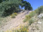 31072010042.jpg
