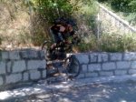 31072010055.jpg