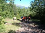 epic trail 2010 163.jpg