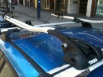 IMG_0488.jpg