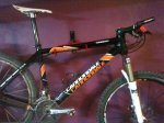 bici 1.jpg