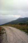 Covas2.jpg