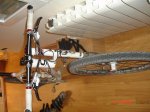 DSC07768.jpg