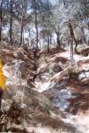 dh_premia_-_rubi__donde_esta_wally_.jpg