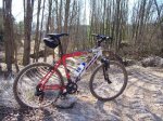 bici_450.jpg
