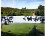 serie1panormicasgs7.jpg