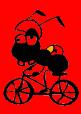 bici hormiga.jpg