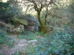 DSC00012.JPG