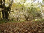 DSC00020.JPG
