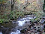 DSC00021.JPG