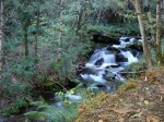 DSC00025.JPG