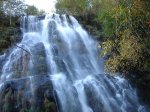 DSC00036.JPG
