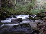 DSC00050.JPG