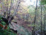 DSC00053.jpg