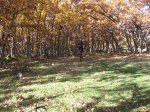 IMG_1460.jpg