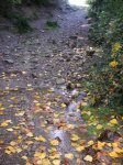 oct.06 042.jpg