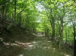 IMG_0308.jpg