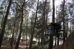 LEVEL_0351.JPG