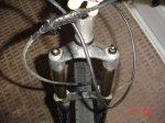 DSC01787.JPG